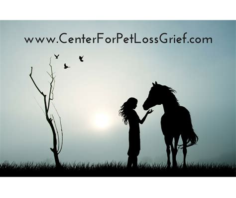 Episode #1 - Discover the 7 Grief and Loss Stages for Pet Loss! | Center for Pet Loss Grief