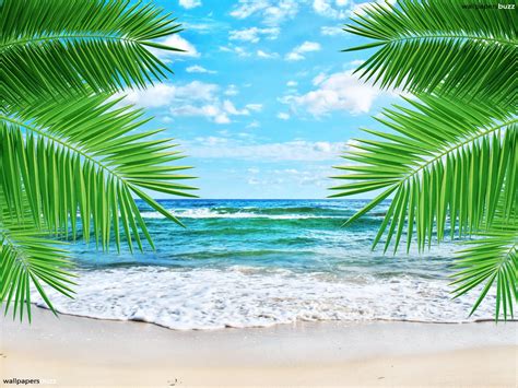 🔥 [40+] Free Wallpapers Hawaii Beach Scenes | WallpaperSafari