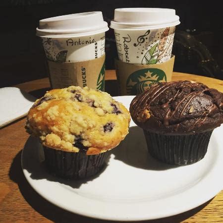 starbucks muffins