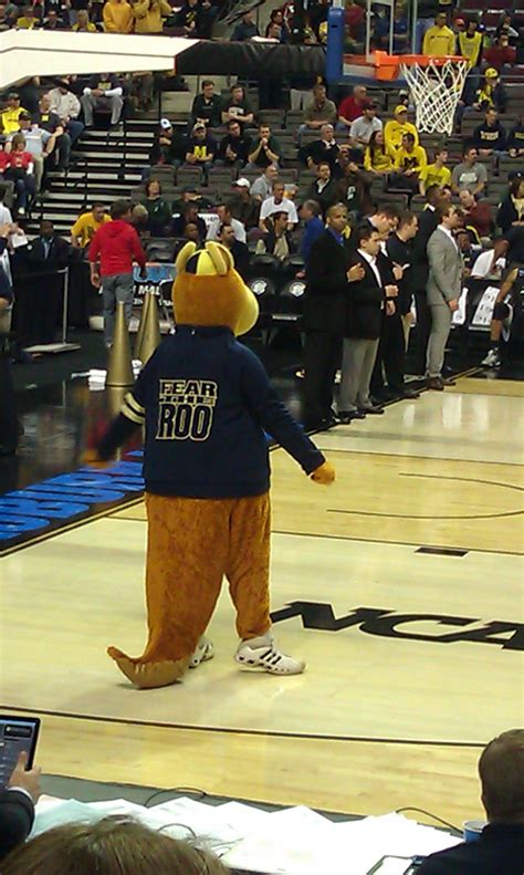 Akron Zips - Zippy at NCAA tourney. University Of Akron, Akron Zips, Ncaa College Football, Men ...