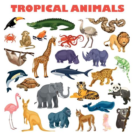 Tropical animal concept background, cartoon style 8791489 Vector Art at Vecteezy