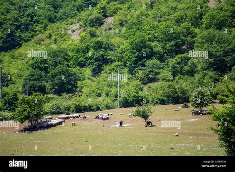 Azerbaijan Nature. Beautiful places Stock Photo - Alamy