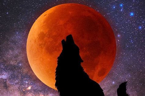 When is the Super Blood Wolf Moon 2019 and how to see it in the UK? | Daily Star