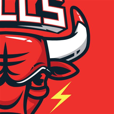 BULLS SWAG :: Behance