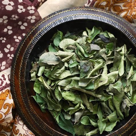 Curry Leaves - The Silk Road Spice Merchant