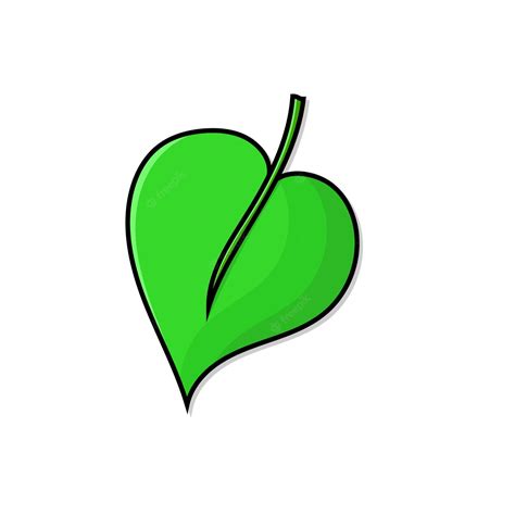 Premium Vector | Green leaf isolated vector illustration with outline ...