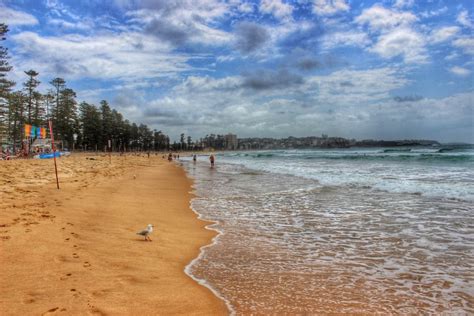 5 reasons why Manly Beach is one of the best beaches in Sydney