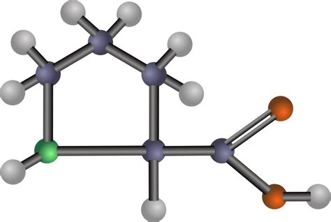 Proline (amino acid) Free Vector / 4Vector