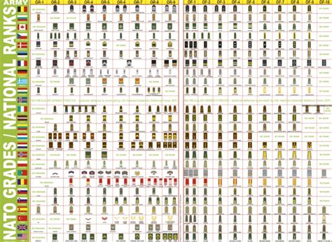 NATO Army Ranks / Pay Grades (STANAG 2116) | PDF