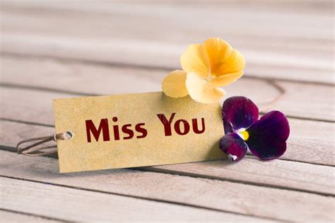 Miss you tag stock image. Image of spring, bouquet, lettering - 115046689