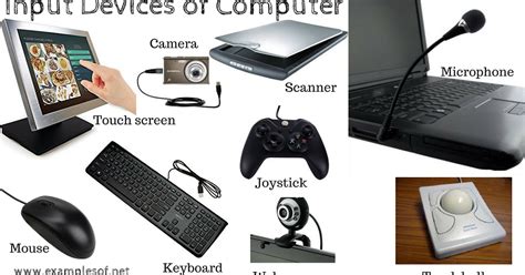 10 Examples of Input Devices of Computer | ExamplesOf.net