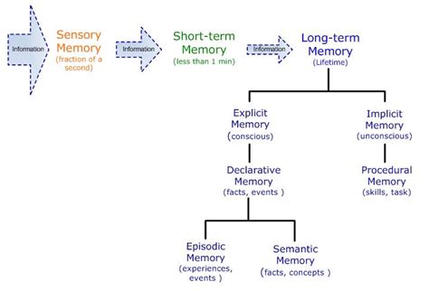 Types of Memory