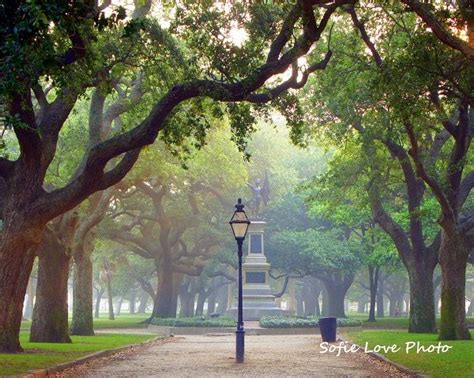 Battery Park Charleston SC 5 X 7 Print | Etsy | Charleston travel ...