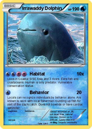 Pokémon Irrawaddy Dolphin - Habitat - My Pokemon Card