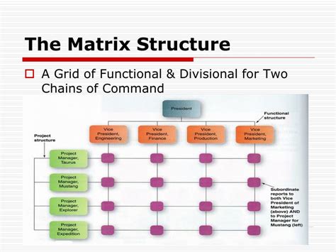 Simple Matrix Structure Diagram What Is Matrix Structure? De