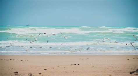 Playa Miramar, Tampico, Tamaulipas, México. | Painting, Art