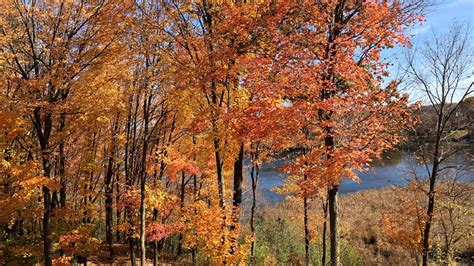 DNR: Most of Minnesota passes peak fall colors | FOX 9 Minneapolis-St. Paul