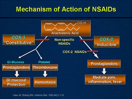 NSAIDs in Pain Medicine - The Pain Source - Makes Learning About Pain ...