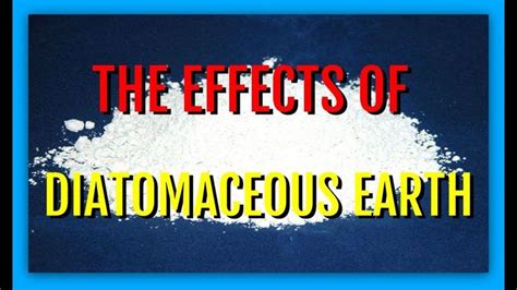 The Effects of Diatomaceous Earth-Should You Take It? | Diatomaceous ...