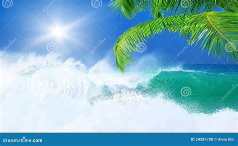 Paradise beach stock photo. Image of pacific, hawaii - 24287700