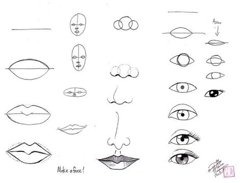 How To Draw Face Parts | Face drawing, Nose drawing, Easy drawings