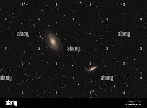 The M81 group (galaxy M81, M82) in constellation Ursa Major against starry night sky Stock Photo ...