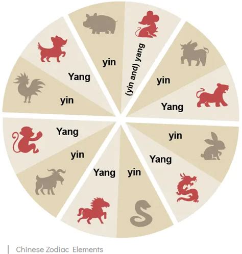 What Is My Chinese Zodiac Elements