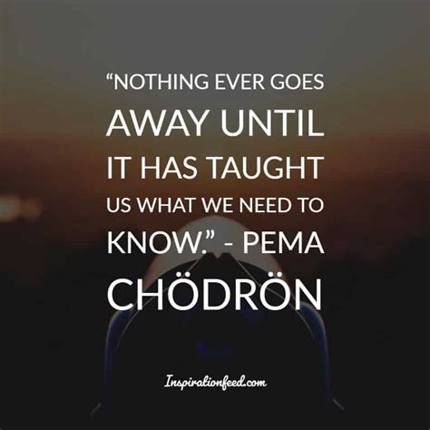 25 Pema Chödrön Quotes and Sayings for Inner Peace - Inspirationfeed