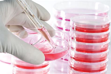 Cell Culture Media - ScienCell Research Laboratories