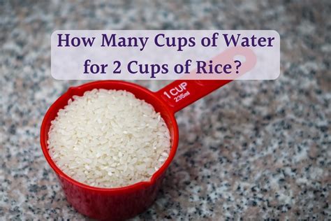 How Much Water for 2 Cups of Rice? Find Out Here! - PlantHD