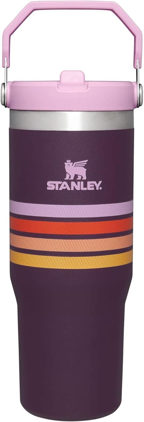 STANLEY IceFlow Stainless Steel Tumbler with Straw, Vacuum Insulated ...