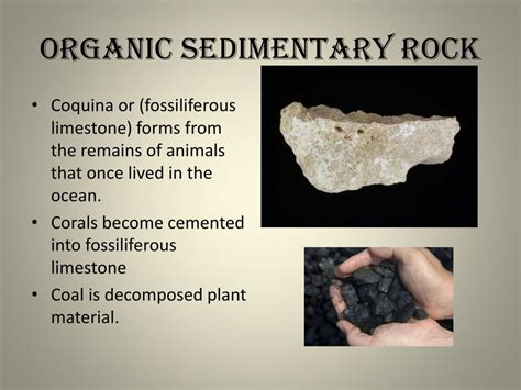 Organic Sedimentary Rocks Examples