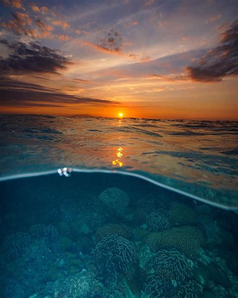 Ollie Clarke on Instagram: “Sunset on the reef #sunset #sun #splitshot #coralreef #coral #reef # ...