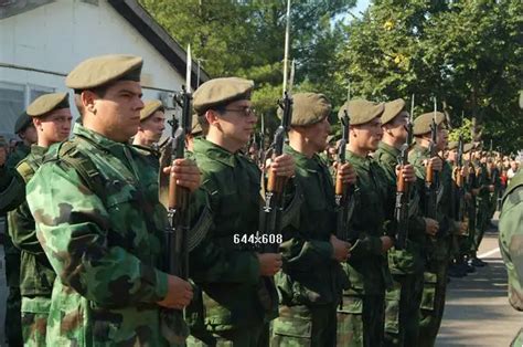 Serbia Serbian Army ranks land ground forces field combat uniforms ...