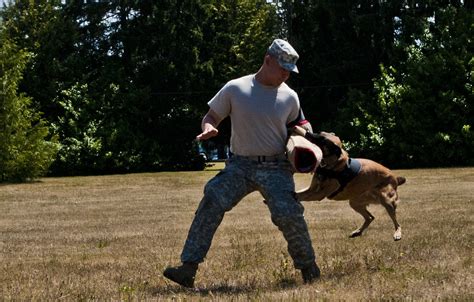 A Soldier and his dog | Article | The United States Army