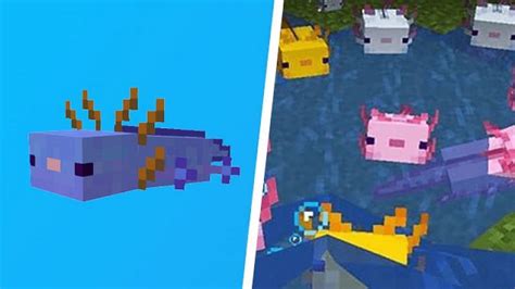 Blue Axolotl Minecraft Mob Skin