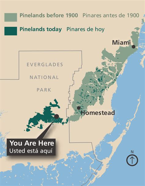 Everglades Maps | NPMaps.com - just free maps, period.