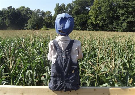 Hicks Family Farm Corn Maze [09/03/22]