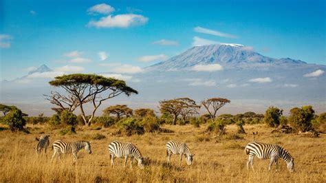 2 day Amboseli National park safari in Kenya | African Safari Tours