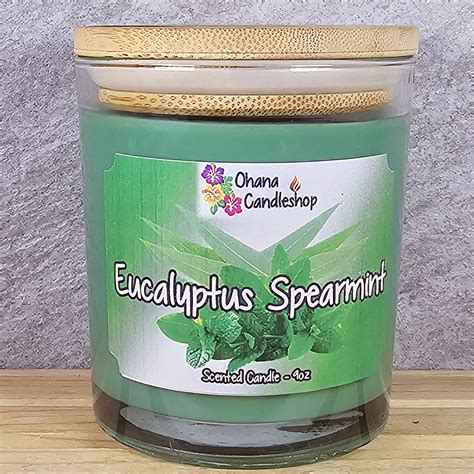 Eucalyptus Spearmint Candle | Ohana Candleshop