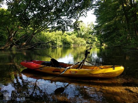 River Kayaking – The Silent Watcher