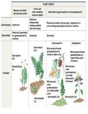 Plant Diversity III Angiosperms.pdf - Angiosperms 7 What are Angiosperms? 7 Most successful A ...