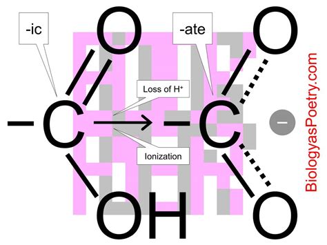 Carboxyl Functional Group