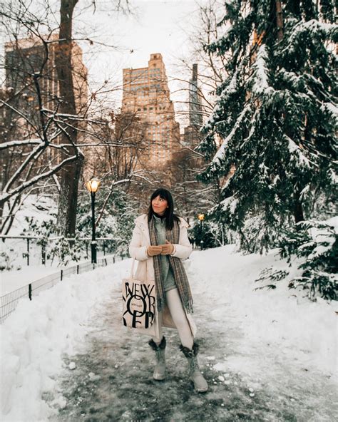 Snow Days in NYC - Pretty in the Pines, New York City Lifestyle Blog