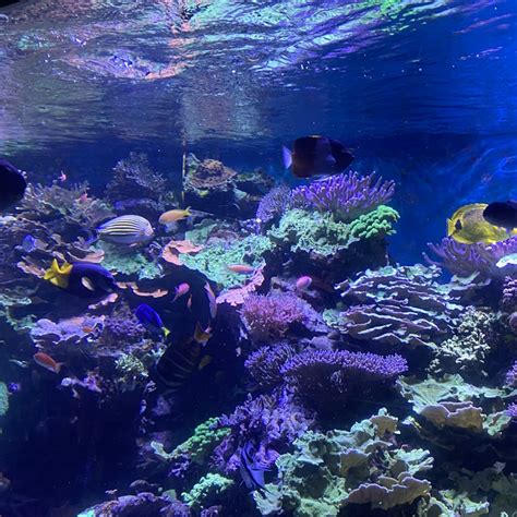 New York Aquarium Tickets | Tiqets