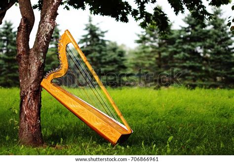 Paraguayan Harp Stock Photo (Edit Now) 706866961