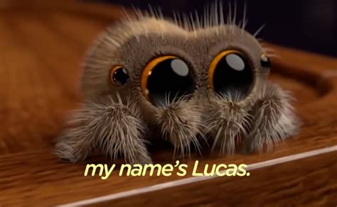 Lucas the cutest spider Blank Template - Imgflip