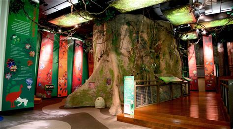 Museum of Tropical Queensland - Tours and Activities | Expedia