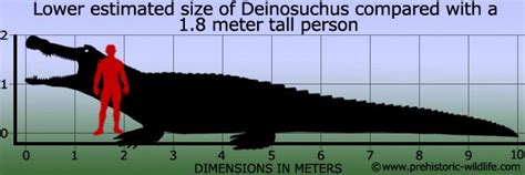 Dino Duels Episode 3 Deinosuchus vs Sarcosuchus (Collab With Rawr) | Jurassic Park Amino