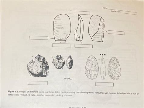 Figure 5.3. Images of different stone tool types. | Chegg.com